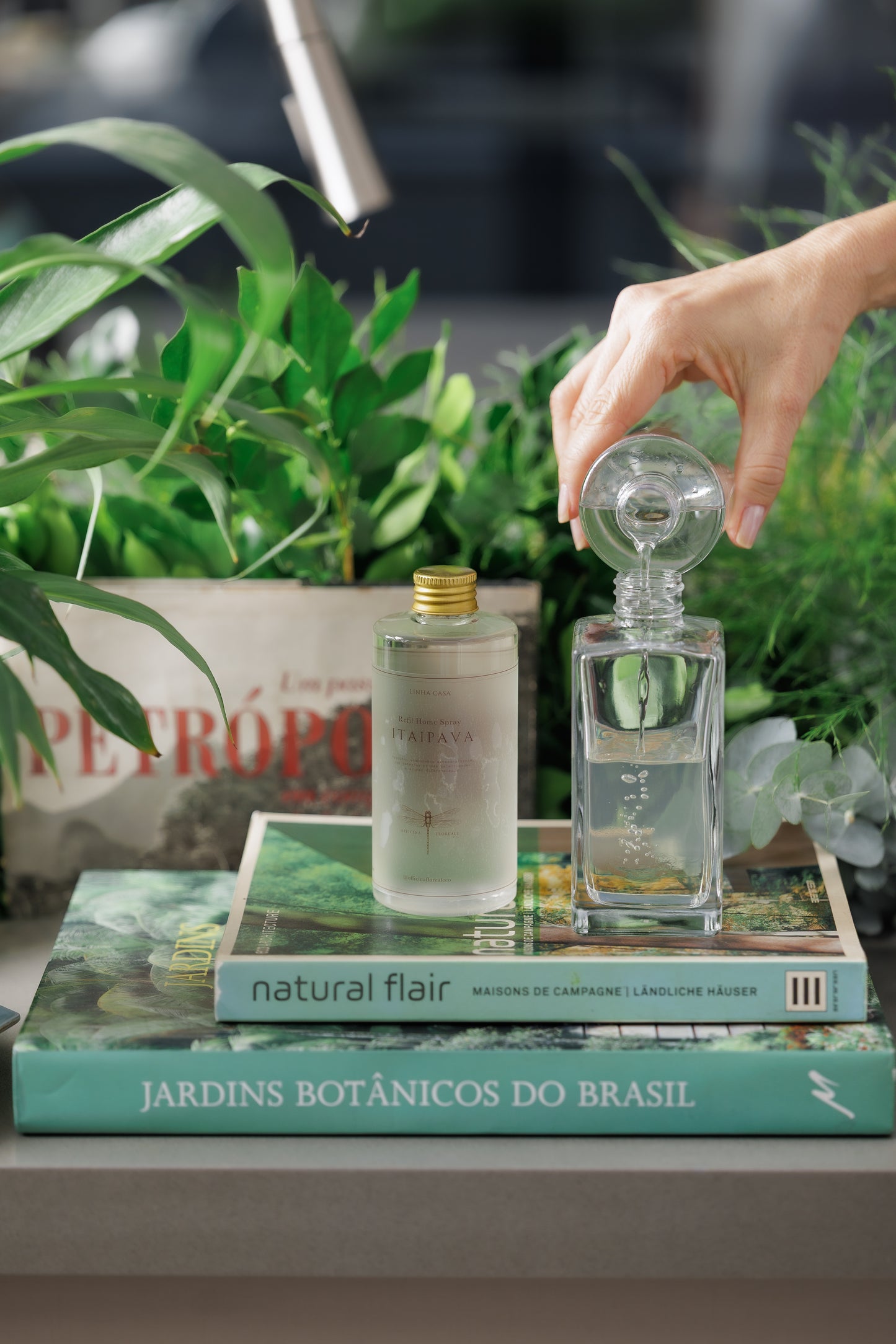 Home Spray - Flor de Figo - 250ml