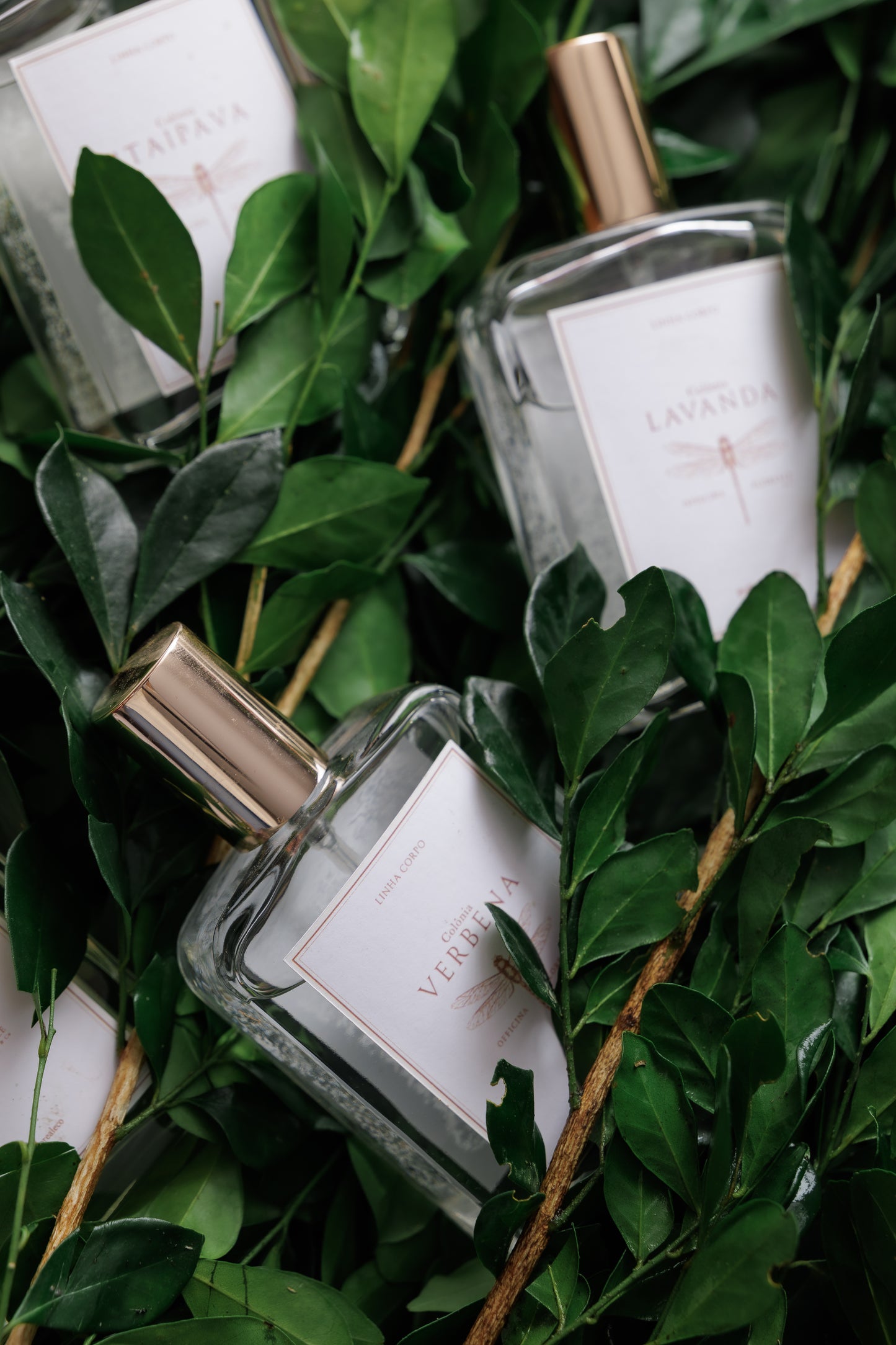 Colônia Itaipava - 125ml