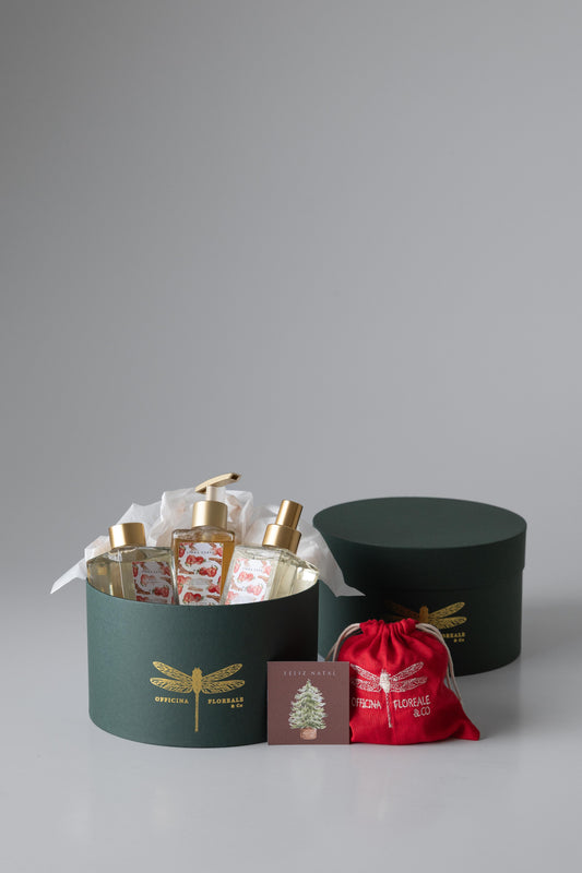 Caixa para presente - Verde