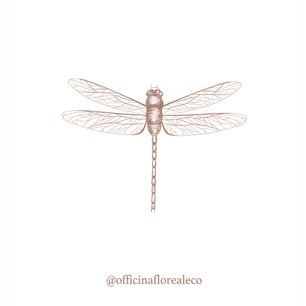 Officina Floreale & Co.